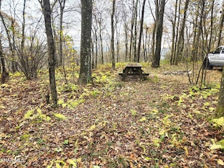 Off Scrub Oak Rd, New Paris, PA 15554