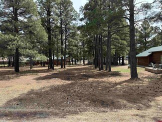 227 Oakwood Cir, De Soto, CO 81147