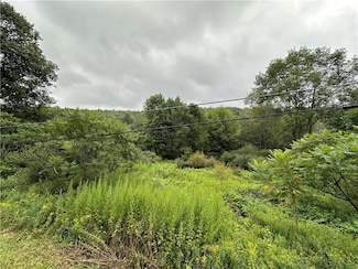 0 Shandelee Rd, Youngsville, NY 12791
