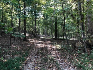 110 W Swan St, Centerville, TN 37033