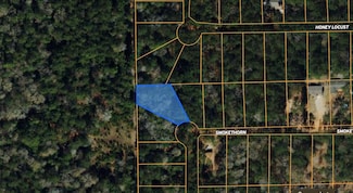 Lot 23 Smokethorn, Plantersville, TX 77363