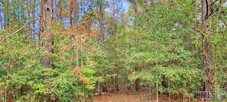 36793-B Cryer Rd, Denham Springs, LA 70706