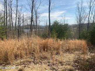 1310 N Wilkerson Rd, Knoxville, TN 37792