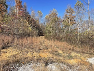 240 Malone Ridge Rd, Albany, KY 42602