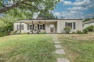 203 E Gilmer Park, Johnson City, TN 37604