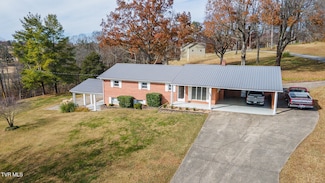 280 Falcon Cir, Afton, TN 37616