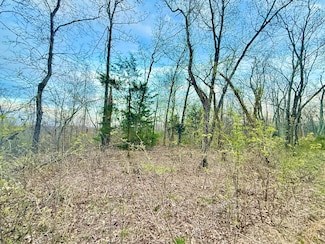 000 Huggins Rd, Morris Township, MO 65484