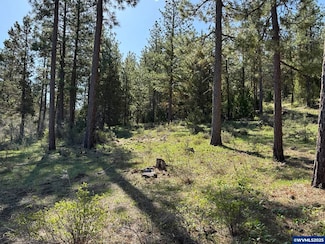 TL 1300 County Highway 1-22, Lakeview, OR 97630