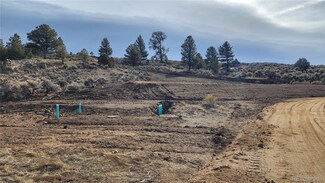 7770 Lewis Smith Rd, Fort Garland, CO 81133