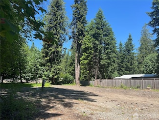 121 Rainbow Ln, Packwood, WA 98361