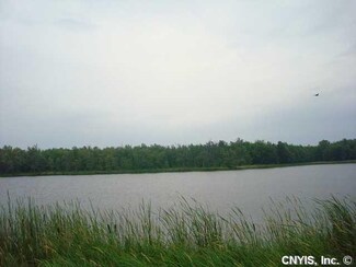 37542 Orleans Cemetery Rd, La Fargeville, NY 13656