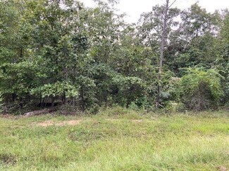 901 Candy Cane Ln, Ellaville, GA 31806