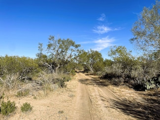 0 Tbd Fm 472, Bigfoot, TX 78005
