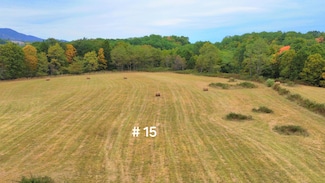 125o Pine Ave, Minehaha Springs, WV 24954
