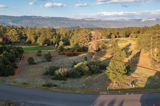 1456 Marmot Dr, Loghill Village, CO 81432