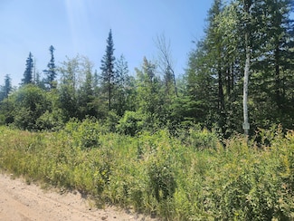 80 acres County Road 415, McMillan, MI 49853