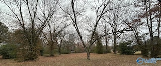 +/- .60 New Hope Cedar Point Rd, New Hope, AL 35760
