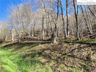 14842 N 226 Hwy, Bakersville, NC 28705