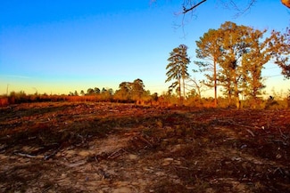 0 Brushy Creek Rd Unit LotWP006 22148687, Columbia, MS 39429