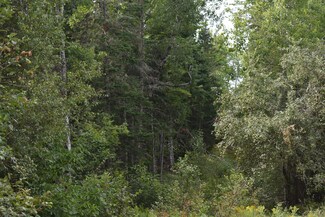 2 Pickle Ridge Rd, Webster Plantation, ME 04487