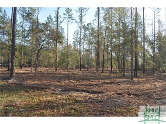 6 Bulloch Bluff Dr, Brooklet, GA 30415