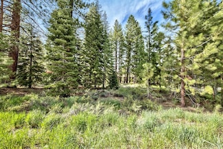 10976 Jeffrey Pine Rd, Truckee, CA 96161
