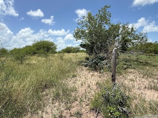 TBD 10+/- ACRES County Road 158, Kenedy, TX 78119