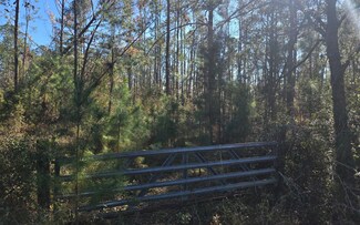 00 N Sr 51, Mayo, FL 32066