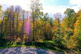 SL21 Tulip Ln, Bainbridge, OH 44023