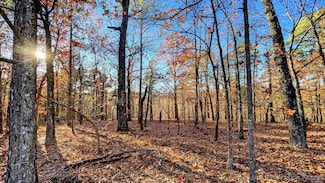 14 Big Bear Rd, Flint Creek, OK 74347