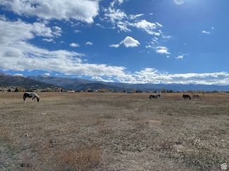 11690 E 22700 N Unit 1, Fairview, UT 84629