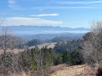 7550 Meadows Town Rd, Marshall, NC 28753