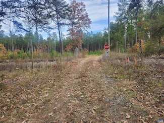 0 Johnson Rd Unit TAX MAP 44 PARCEL 10, Mineral, VA 23117