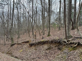 0 Abbey Ct Unit 412984, Ellijay, GA 30540