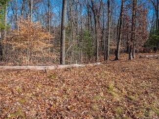 15 Samuel Ashe Dr Unit 50, Asheville, NC 28805