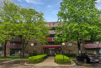 1463 Mercury Dr Unit 314, Schaumburg, IL 60193