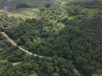 0 Chris Ln Unit 25028271, Amity, AR 71921