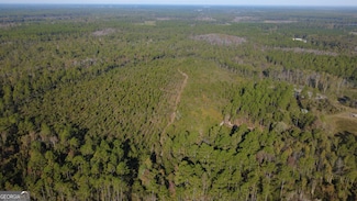 0 Fargo Hwy, Homerville, GA 31634