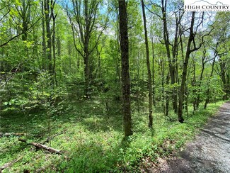 Lots 48 and 49 Rhoneys View, Newland, NC 28657