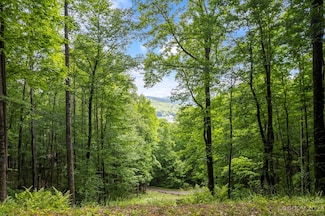 Lt 12A von Trapp Ln Unit 12A, Tuckasegee, NC 28783