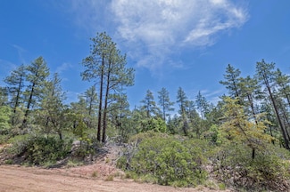 4521 Pine Hollow Trail, Pine, AZ 85544