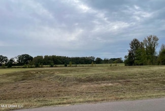 1505 Ashtons Ln, Hernando, MS 38632