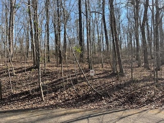 LOT 16 Moss Trail, Counce, TN 38326