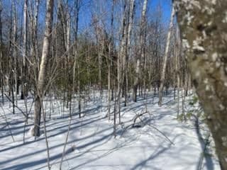 0 Big Wolf Ln Unit 22521633, Lewiston, MI 49756