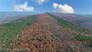 TBD Kiamichi Mountain, Whitesboro, OK 74577