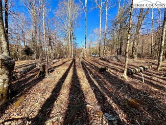 TBD Lot #46 Big Bear Trail, Linville, NC 28646