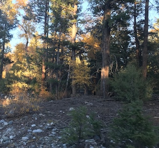 111 Deer Run Rd, Mosca, CO 81146