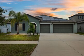13580 Willow Bluestar Loop, Riverview, FL 33579