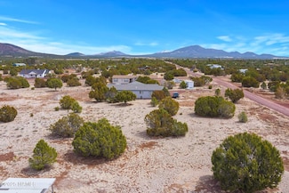 921 E Alimos Way, Red Lake, AZ 86046