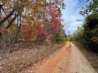 0 Chase Trail Ln Unit 57938, Piney Mountain, VA 24553